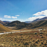 nz_cassie-matias-202984